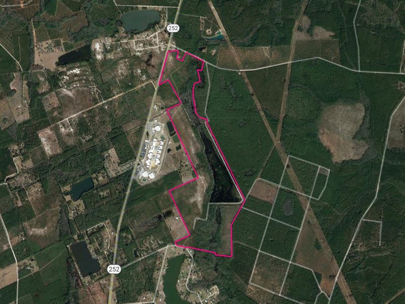 326 Acres, Folkston : Folkston : Charlton County : Georgia