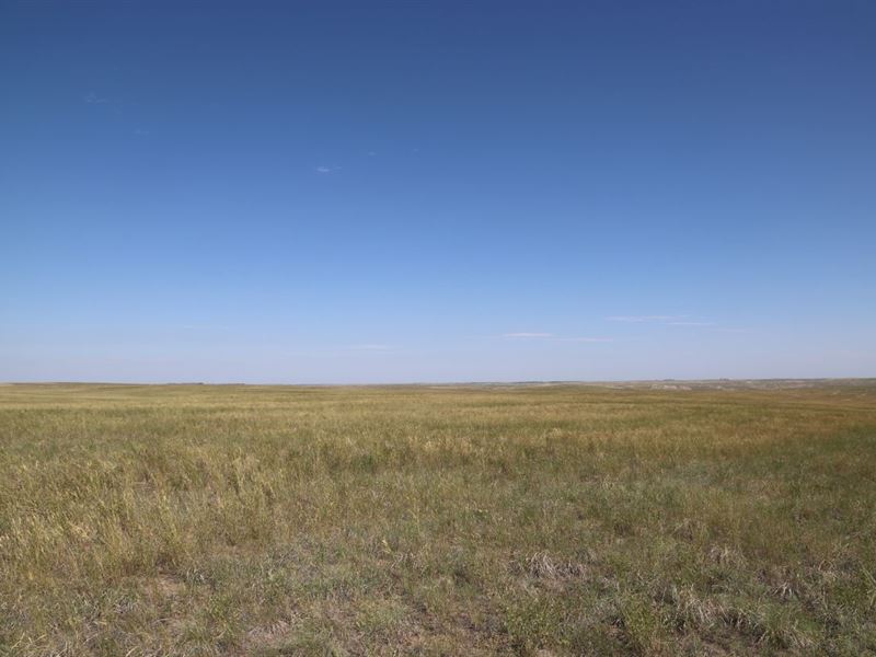 Nebraska Panhandle Crp Land Auction : Kimball : Kimball County : Nebraska