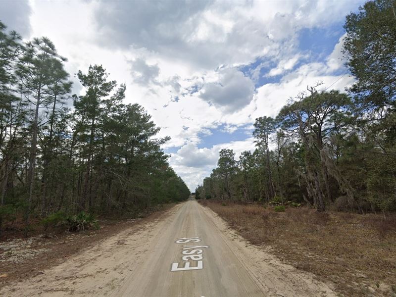 Homesite Minutes From George's Lake : Florahome : Putnam County : Florida