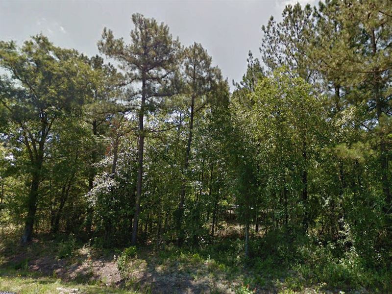 1.07 Acre in Bladen County, NC : White Oak : Bladen County : North Carolina
