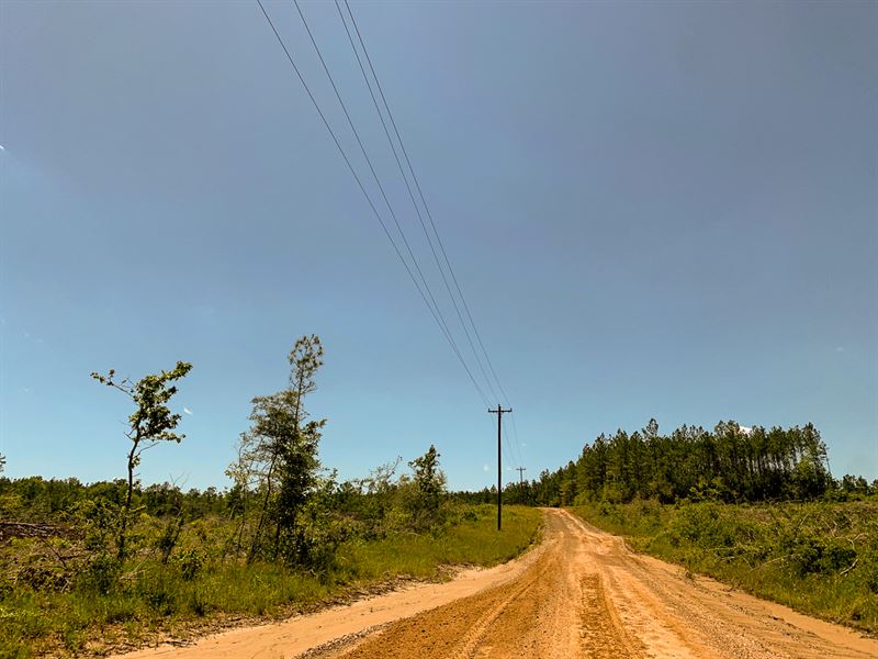 105 Acres, T-1 CR 3910 : Rockland : Tyler County : Texas