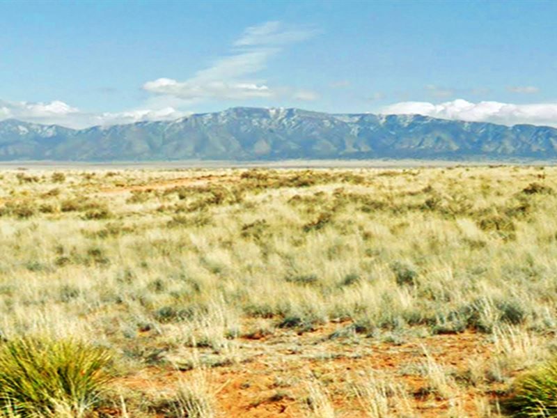 Serene Place, Quarter Acre : Los Lunas : Valencia County : New Mexico