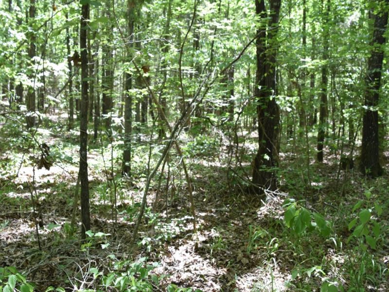 Fishing and Hunting Paradise : Waldron : Scott County : Arkansas