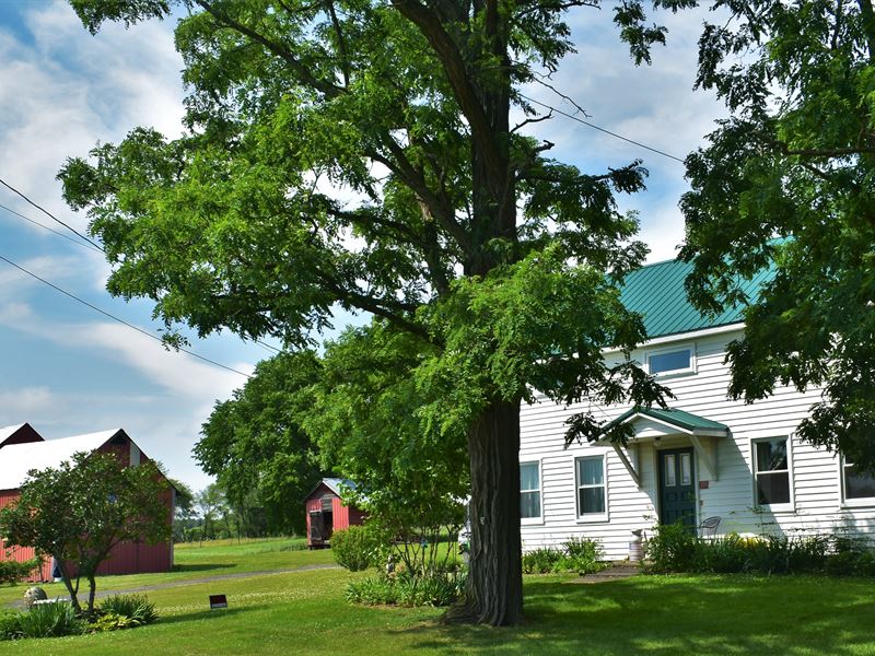 Sunset Farm, 1850 Farmhouse, Barn : Greenville : Greene County : New York
