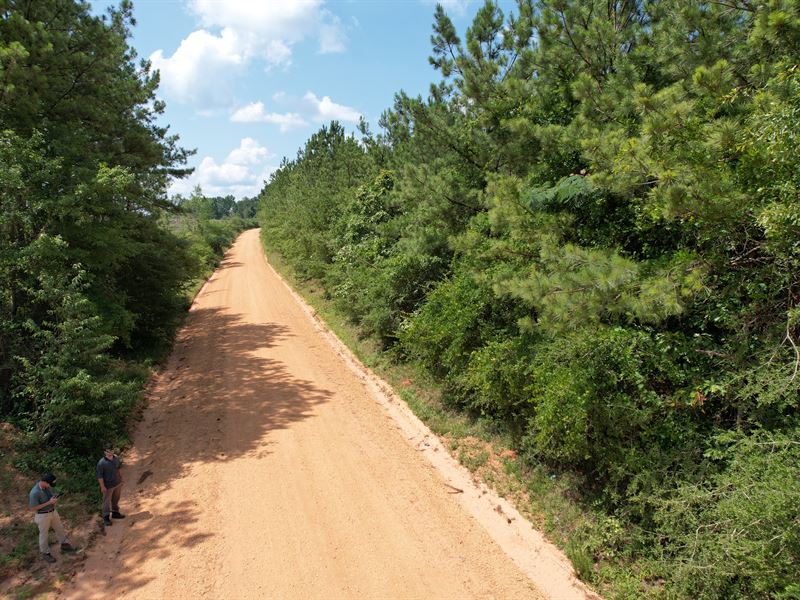 County Road 125 Tract : Plantersville : Autauga County : Alabama