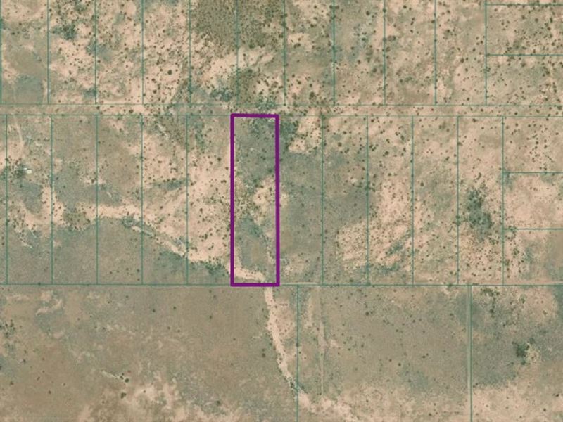 5 Acres, Luna County, NM : Columbus : Luna County : New Mexico