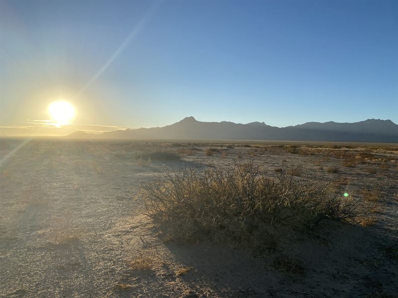 Leave The Grind Behind : Deming : Luna County : New Mexico