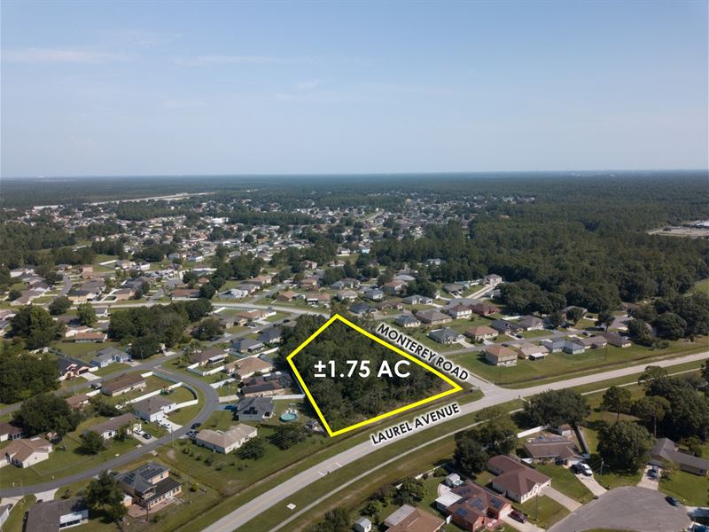 Absolute Auction, Orlando Msa Land : Kissimmee : Polk County : Florida