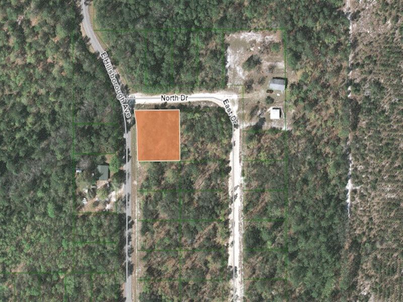 Large Corner Lot in Lakeside Hills : Florahome : Putnam County : Florida