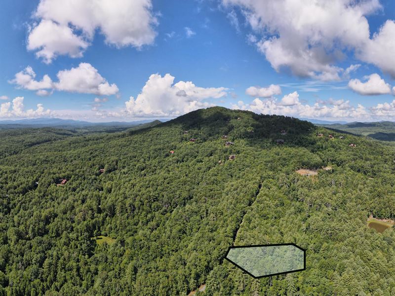 Build Your Mountain Home Here : Mineral Bluff : Fannin County : Georgia