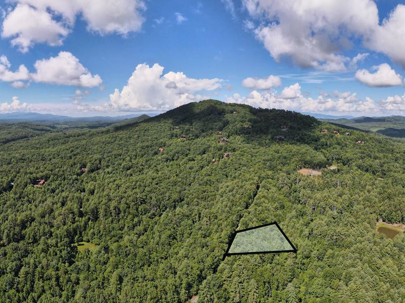 Mountain Views Just Waiting for You : Mineral Bluff : Fannin County : Georgia