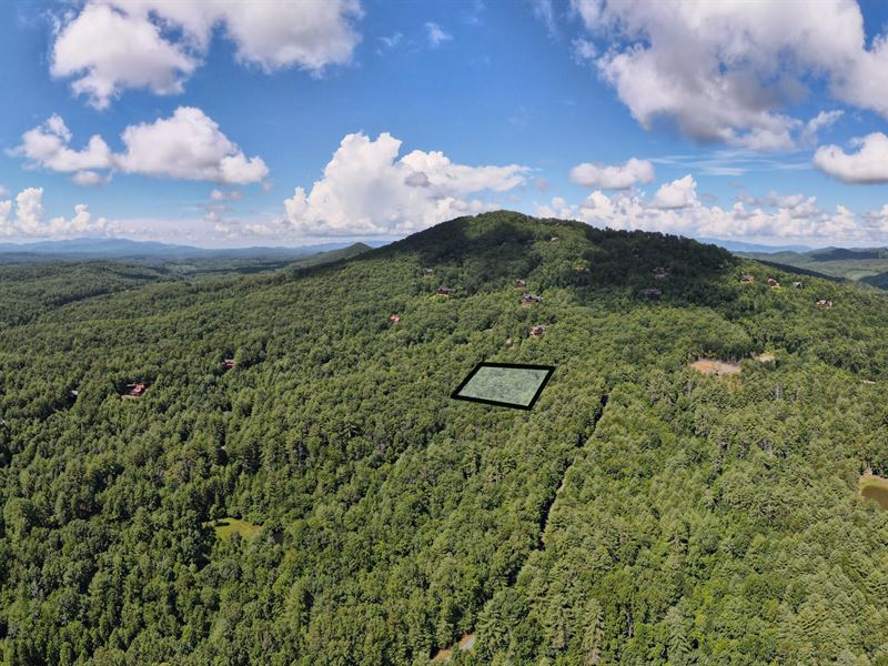 Heaven In The Mountain Woods : Mineral Bluff : Fannin County : Georgia