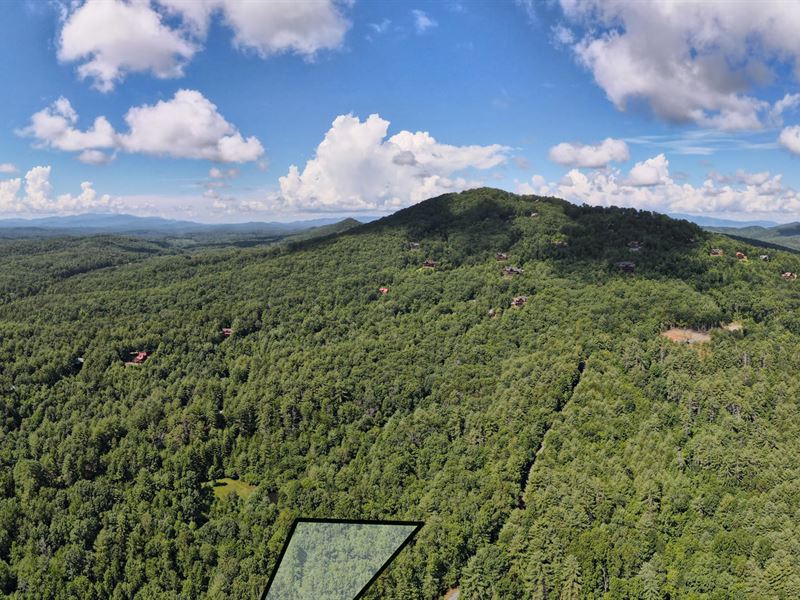 Live One with Nature : Mineral Bluff : Fannin County : Georgia