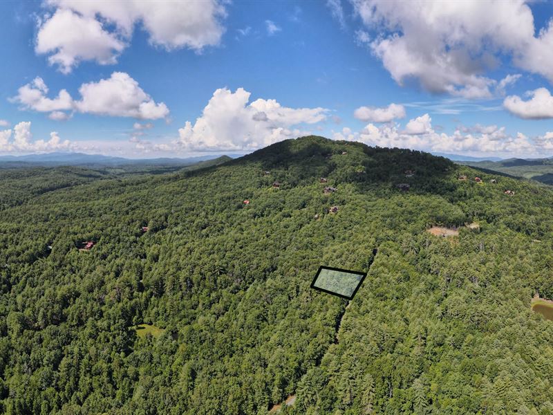 Creekside Wooded Lot : Mineral Bluff : Fannin County : Georgia