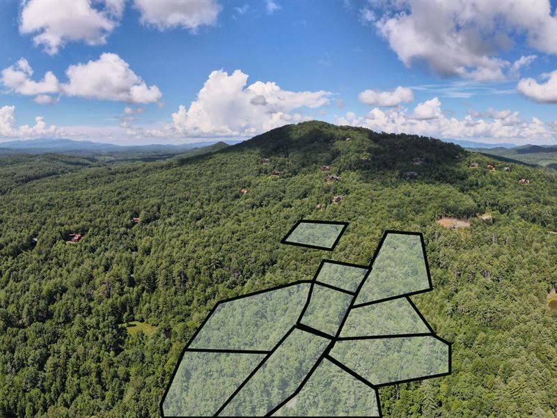 True Mountain Property : Mineral Bluff : Fannin County : Georgia