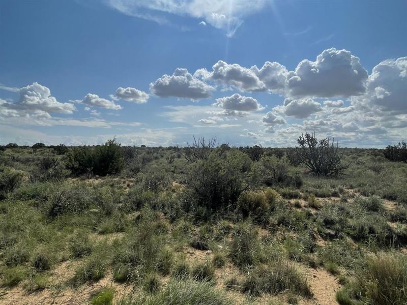 Breathtaking Scenery in NM : Rio Rancho : Sandoval County : New Mexico