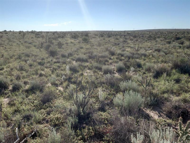 1.1 Ac, Breathtaking Landscape View : Rio Rancho : Sandoval County : New Mexico