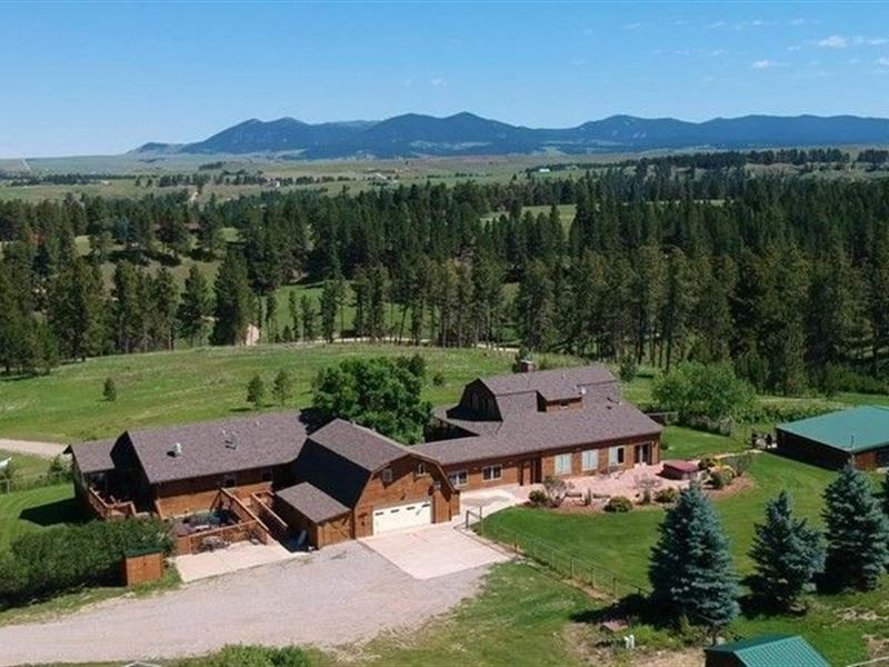 Pheasant Tales : Lewistown : Fergus County : Montana