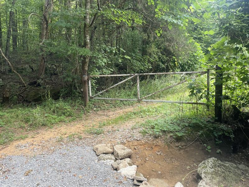 Trails End 545 Acres : Union Grove : Marshall County : Alabama