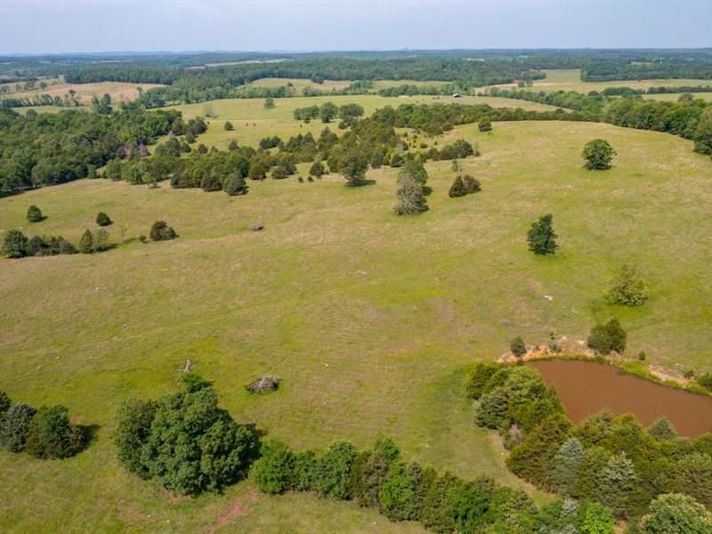 80 Acres, Cattle Farm, Fenced/C : Franklin : Izard County : Arkansas