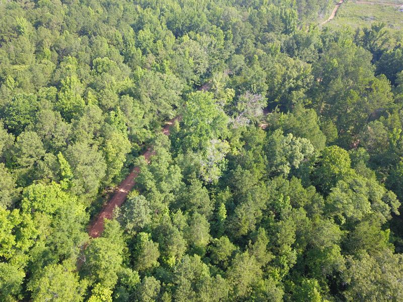15 Acres on Old Bradford Rd : Goodwater : Coosa County : Alabama
