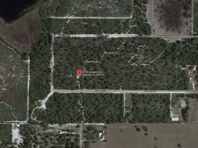 1 Acre Lot for Sale in Sebring, FL : Sebring : Highlands County : Florida