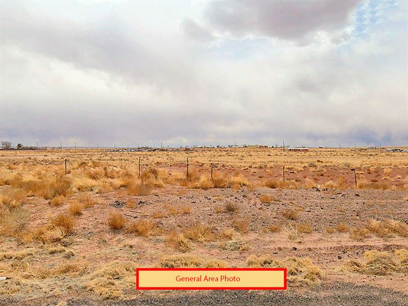 1.25 Acres in Navajo County, AZ : Holbrook : Navajo County : Arizona