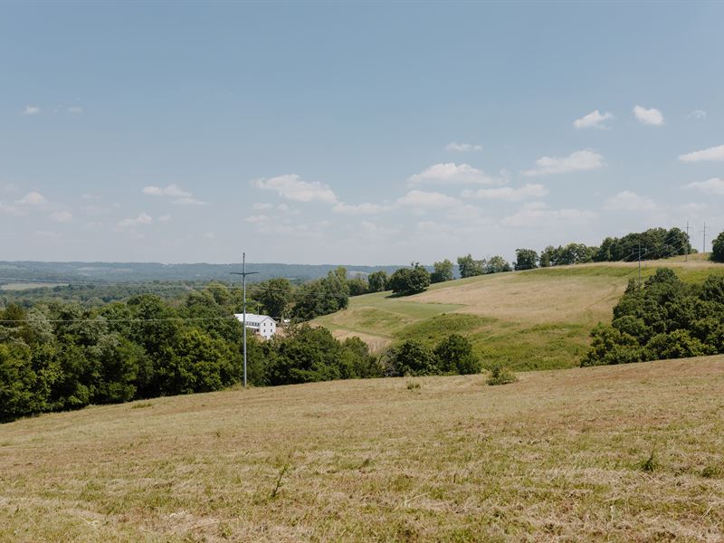 Tennessee Rolling Hills Home Tract : Lewisburg : Marshall County : Tennessee