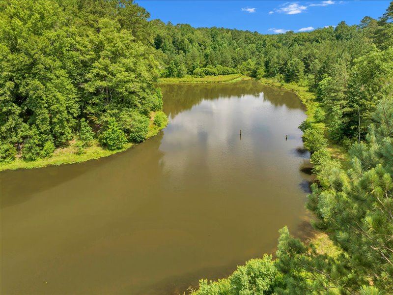 Hunting Tract with a Beautiful Pond : Macon : Jones County : Georgia