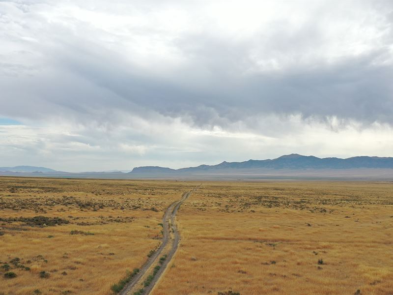 Go Ahead Grow Up to be a Cowboy : Montello : Elko County : Nevada