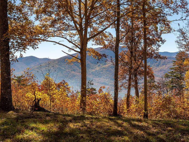 Mountain Views & Buried Utilities : Young Harris : Towns County : Georgia