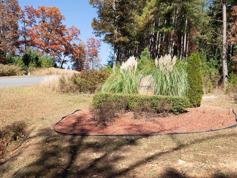 Lake Life Plus Amenities : Blairsville : Union County : Georgia