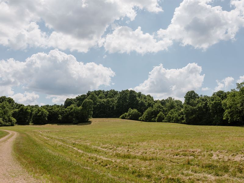 Flat Homesite, Tennessee Land : Pulaski : Giles County : Tennessee