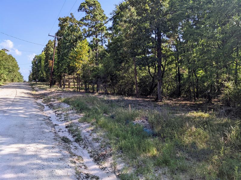 Rv / Mobile Lot with Utilities : Trinity : Trinity County : Texas