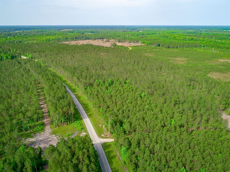 Simpson Creek 96-1 : Loris : Horry County : South Carolina