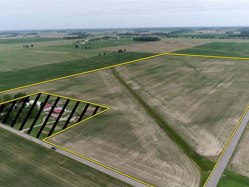 Land Auction, 75+/- Acres : Straughn : Henry County : Indiana