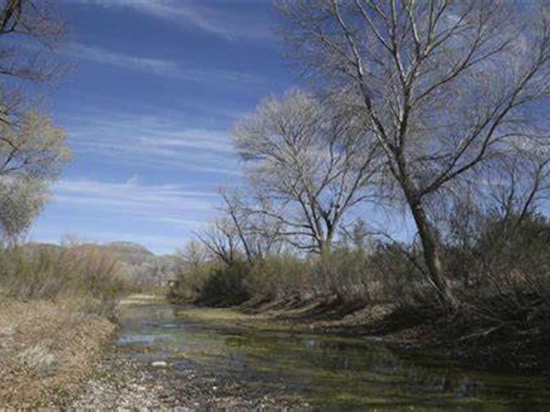 40+ Ac Secluded in Brewster County : Alpine : Brewster County : Texas