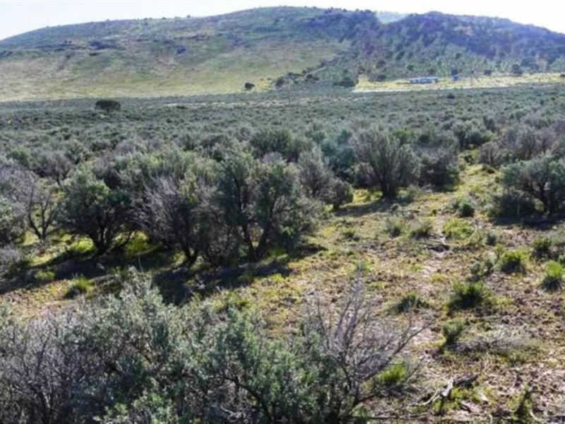 Beat Inflation, Own Land : Elko : Elko County : Nevada