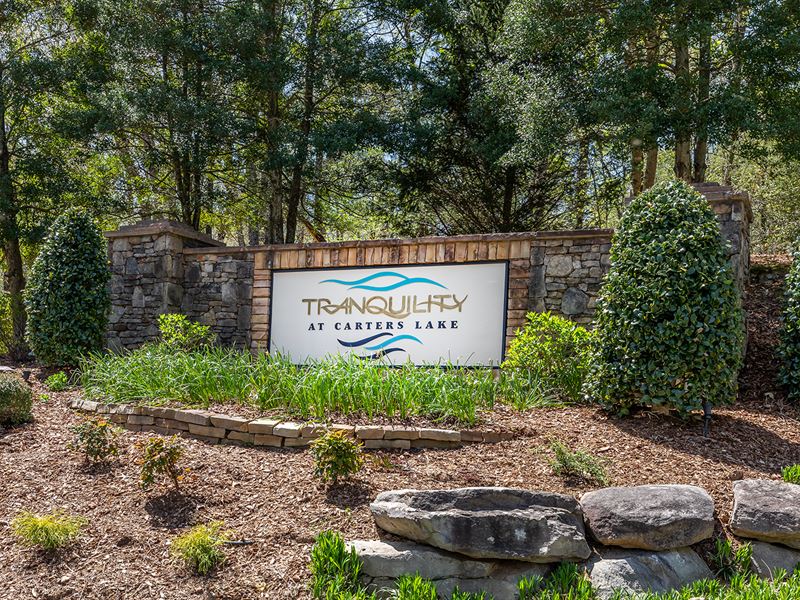 Lake Life Is A Quiet Life : Ellijay : Gilmer County : Georgia