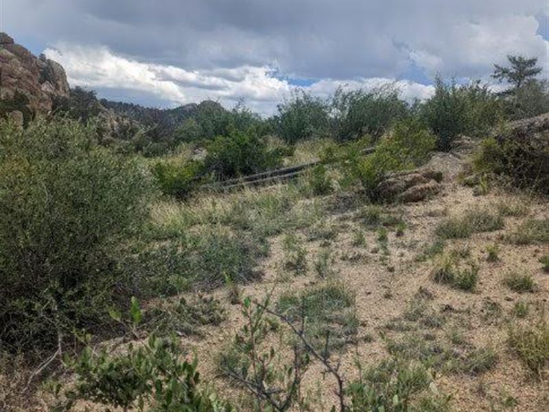 Lot in Historic Mining Town, Turret : Turret : Chaffee County : Colorado