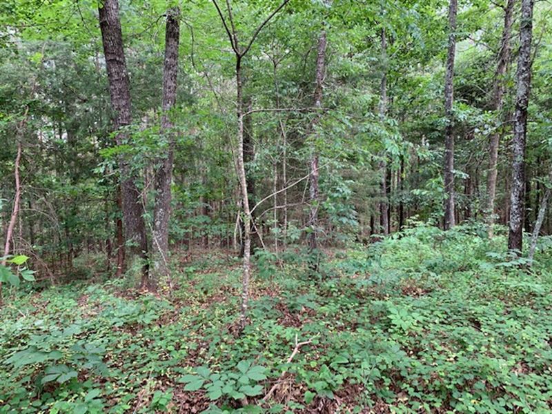 5 Acres of Privacy : Aragon : Polk County : Georgia