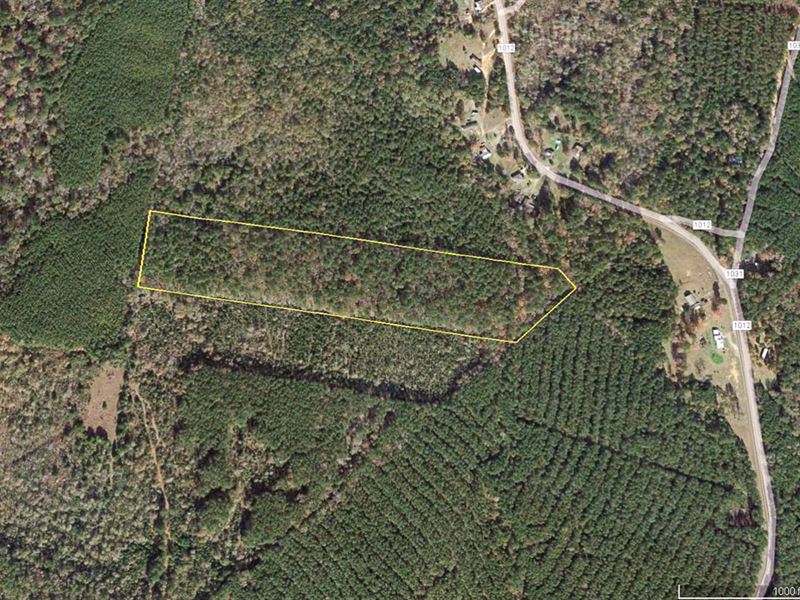 17 Acres, T-1 FM 1012 : Jamestown : Newton County : Texas