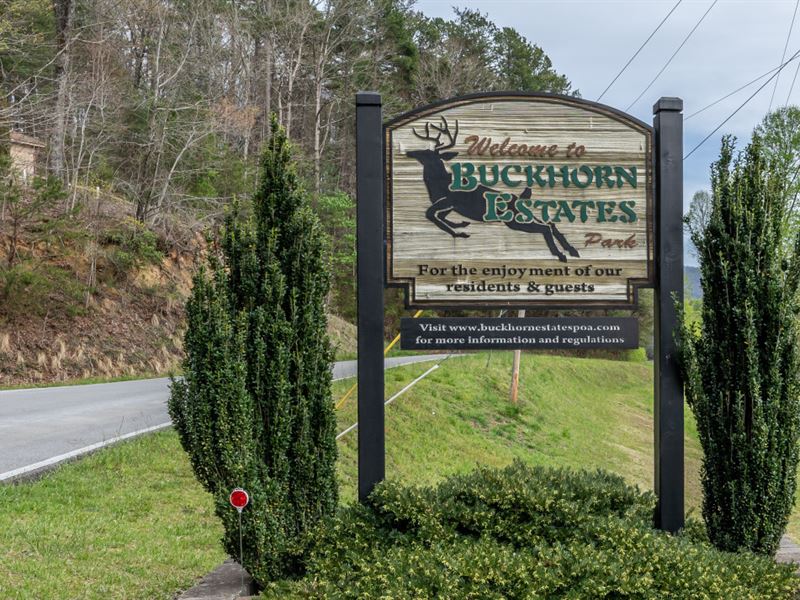 Quiet Cul-De-Sac & Mountain Views : Ellijay : Gilmer County : Georgia