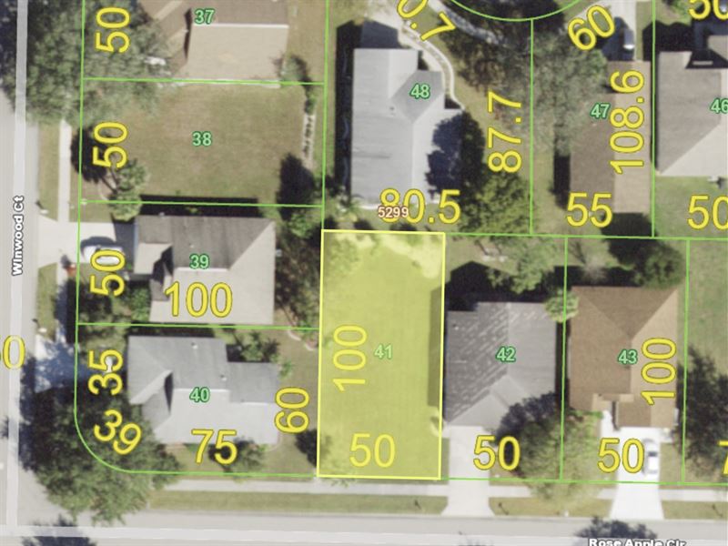 Lot in Established Neighborhood : Port Charlotte : Charlotte County : Florida