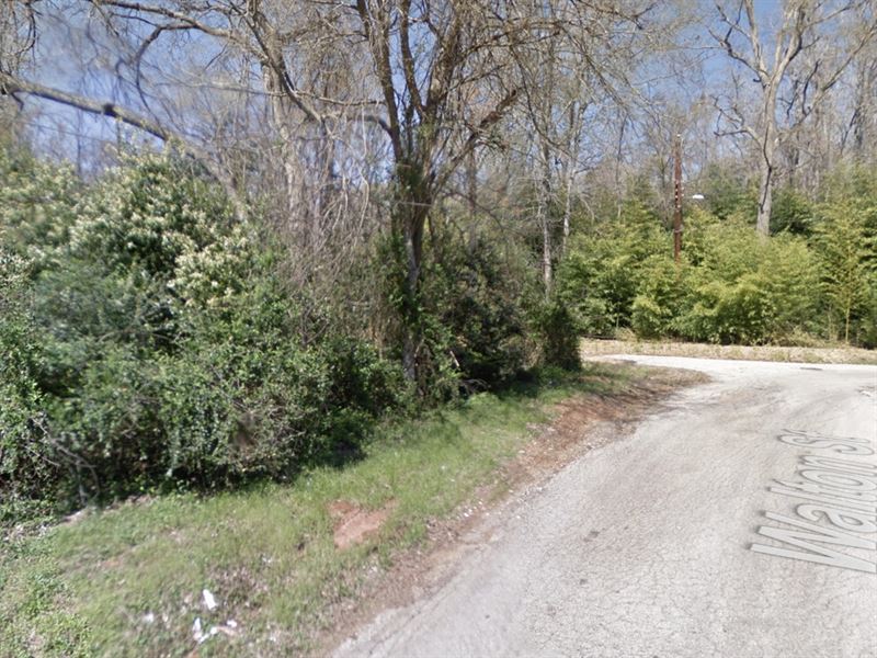 2 Lots Together in Palestine, Texas : Palestine : Anderson County : Texas