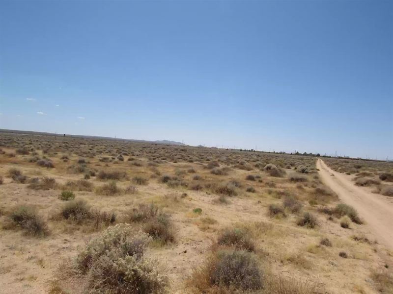 5 Acres in San Bernardino County : Boron : San Bernardino County : California