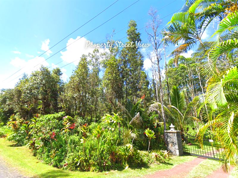 Green & Lush 1.55 Acres in Nanawale : Pahoa : Hawaii County : Hawaii