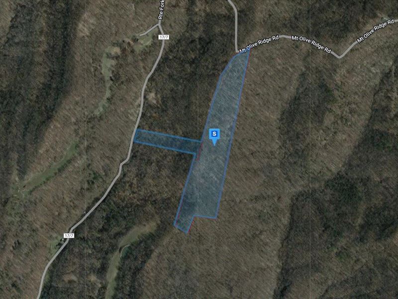 24.87 Acres in Wood County, WV : Belleville : Wood County : West Virginia