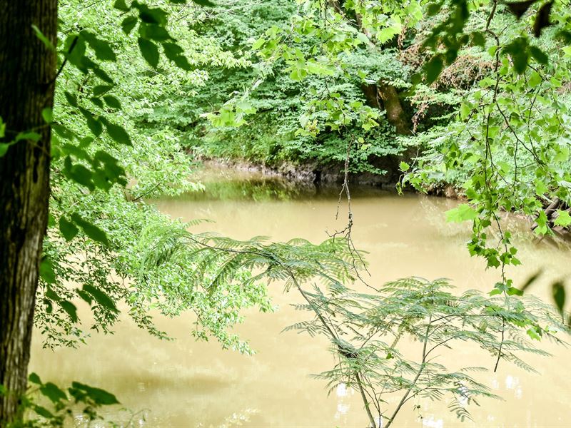 Secluded Hideaway : Oliver Springs : Roane County : Tennessee