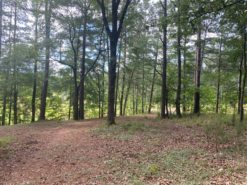 La, Claiborne 32 Acres : Homer : Claiborne Parish : Louisiana